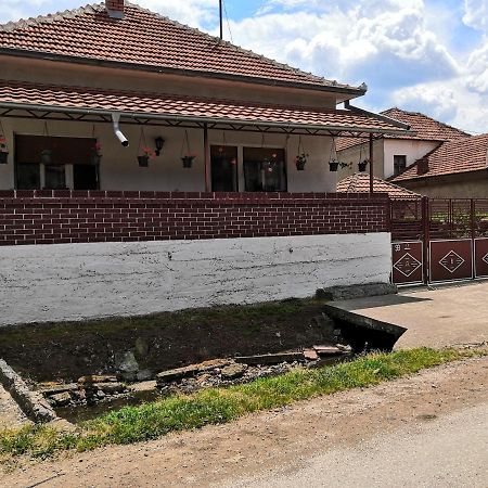 Kuca Mijalkovic Apartamento Pirot Exterior foto