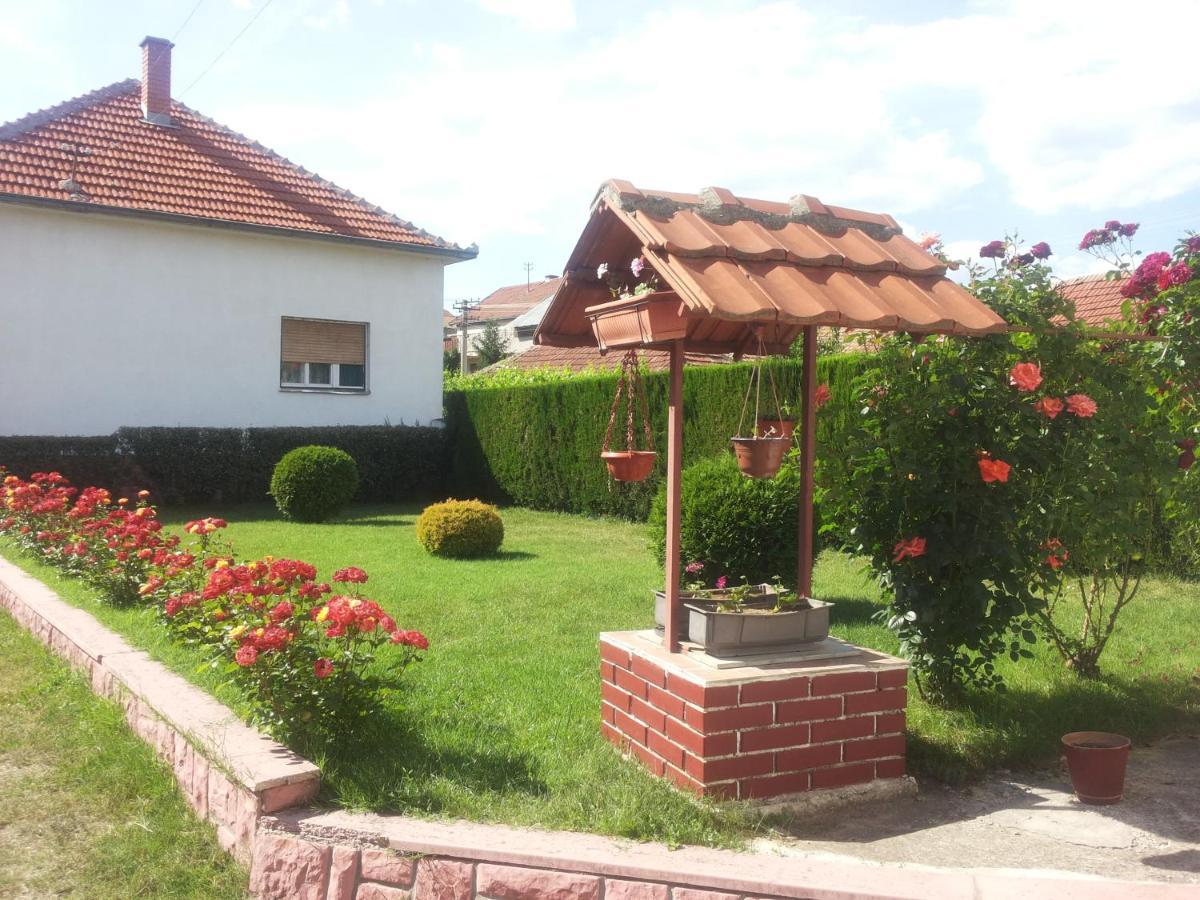 Kuca Mijalkovic Apartamento Pirot Exterior foto